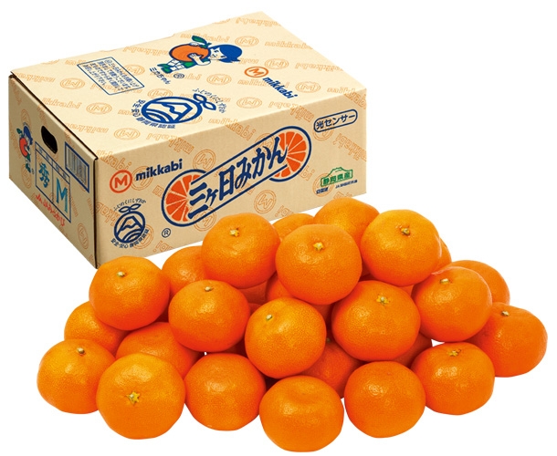三ケ日みかん／12月上旬頃のお届け | ヤマサちくわ オンラインストア