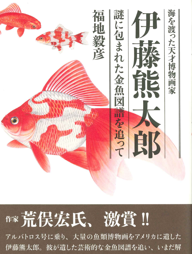 海を渡った天才博物画家 伊藤熊太郎 謎に包まれた金魚図譜を追って