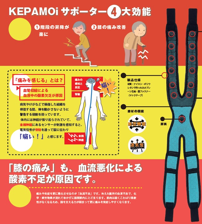 KEPAMOI（ケパモイ）「 QBボール内臓サポーター」 | すべての商品