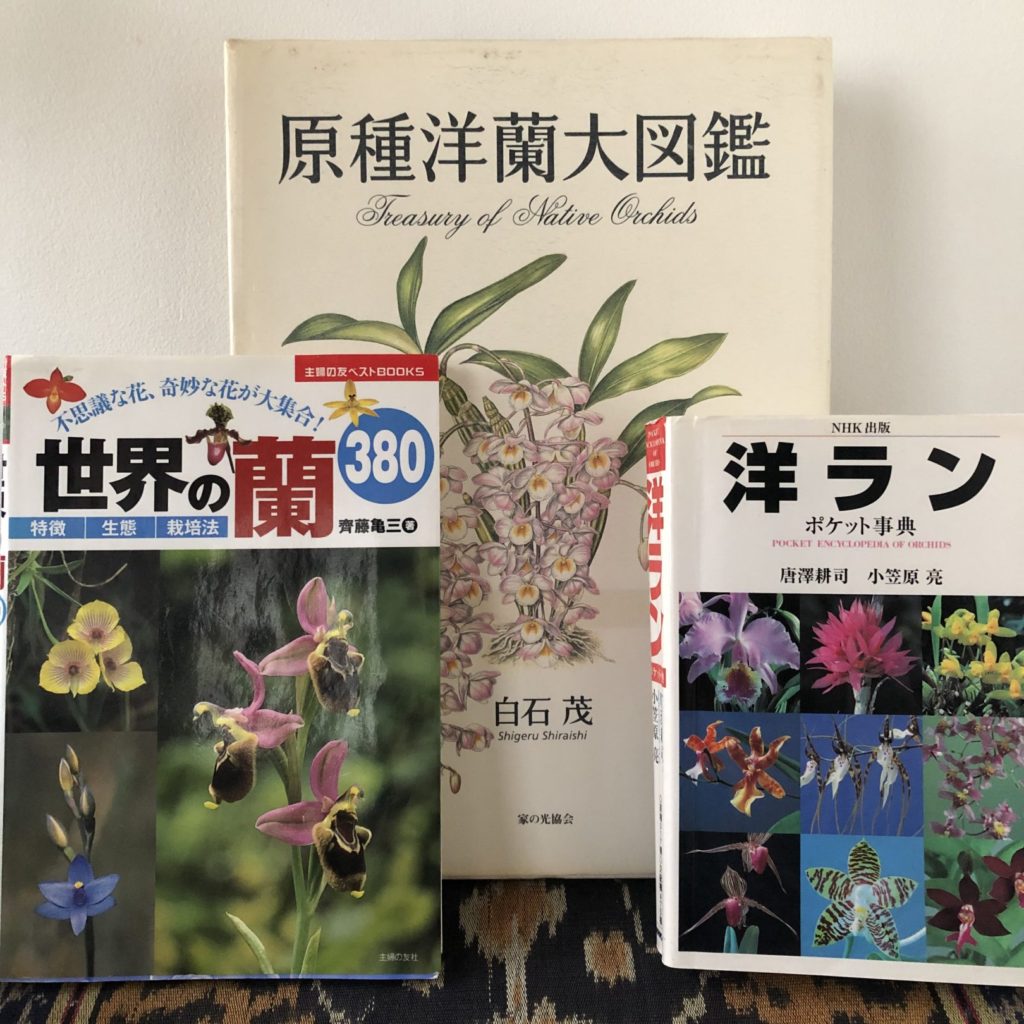 わたしの北極星 〜コロナ禍を乗り切ろう！巣ごもりをカスタムする魅惑