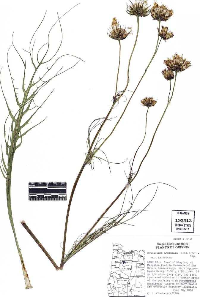 CPNWH Search Results