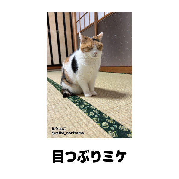 数量限定】ミケねこ日常瞬間集 ポストカードセット – 俺の推し