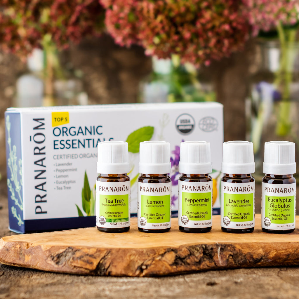 top5lifestyle_1024x1024.jpg?v=