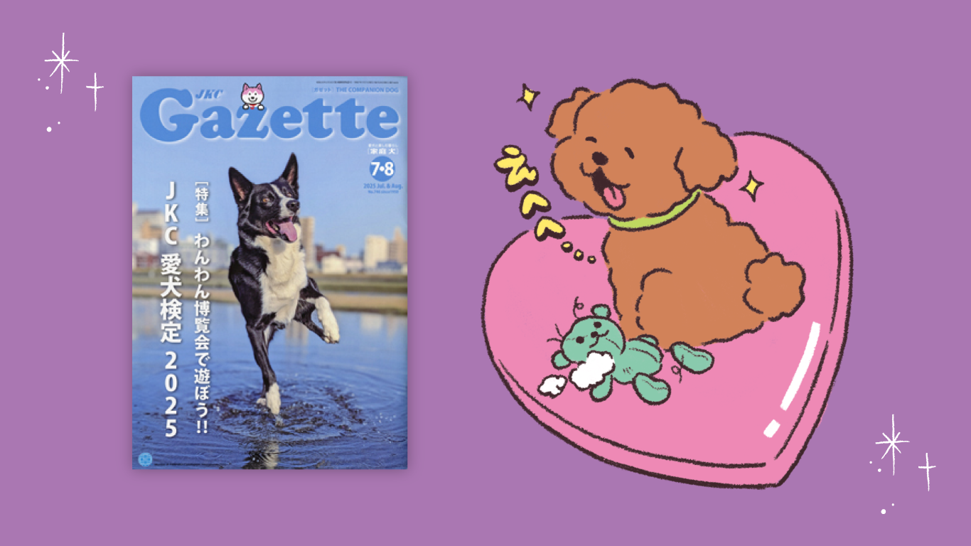 JKCガゼット2025年7•8月号「JKC愛犬検定2025」挿絵／一般社団法人