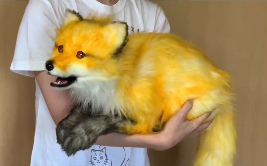 リアルに動くキツネのぬいぐるみに驚き 「本物かと思った」の声続々