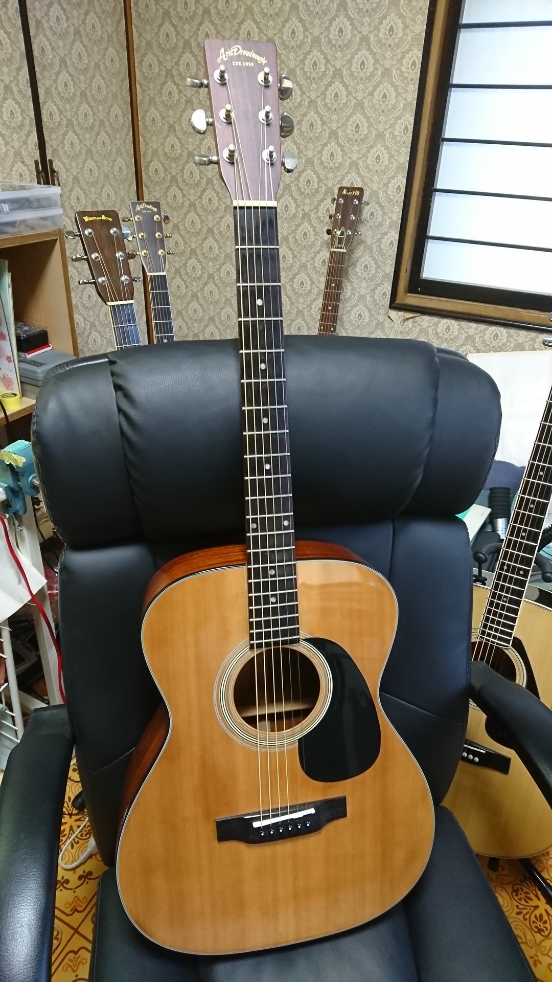 Aria Dreadnought アコースティックギター セットAF-25N Aria