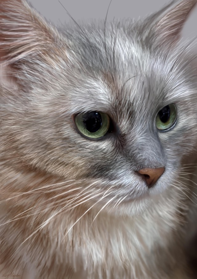 写真にしか見えない！ スマホと指で描いた「猫の絵」 高校生18歳の画家