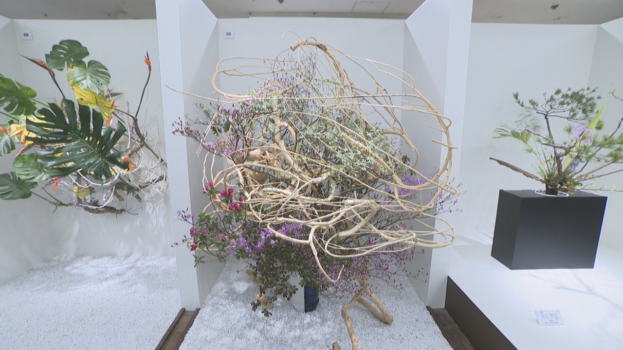 全国26流派の生け花作品を展示 「日本いけばな芸術中国展」15年ぶりに