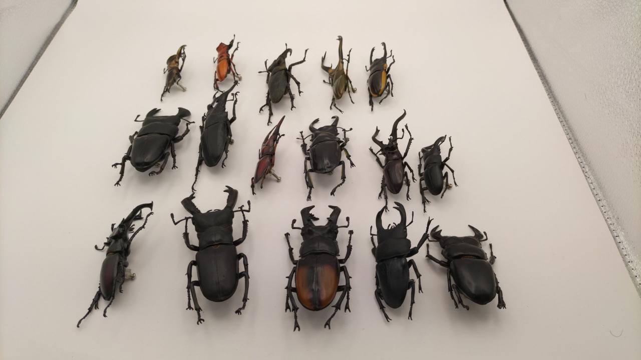 ディアゴスティーニ|世界の昆虫データブック|【ハードオフ公式通販