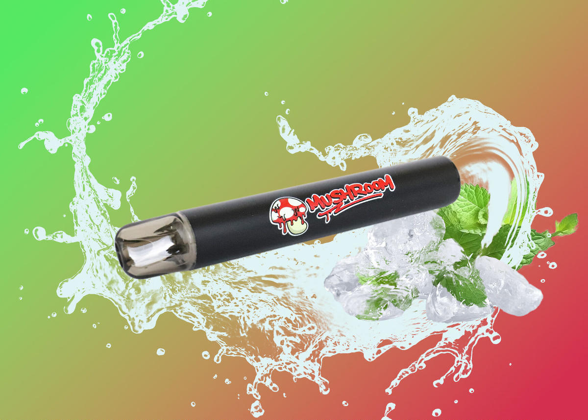 マッシュルームシーシャ エナジードリンク 10本 【公式通販】