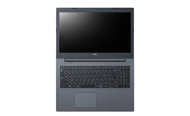 2019年春モデル LAVIE Direct NS(A) 15.6型ワイド [Note Standard
