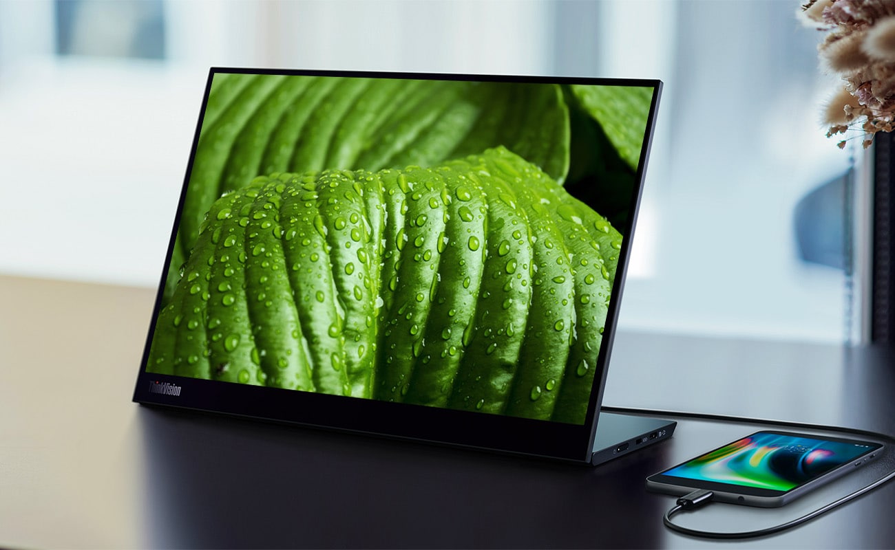 モニター＆周辺機器セット】ThinkVision M14d + おすすめ3点付き