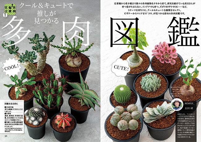 趣味の園芸』2025年9月号の紹介～多肉偏愛宣言〈とじ込み付録