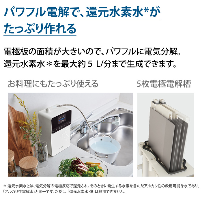 パナソニック 還元水素水生成器 19物質除去 7つの水 電極枚数5枚 TK