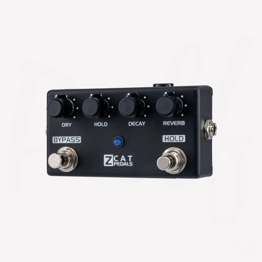 Z Cat - Hold-Reverb | La réverbe Hall créative