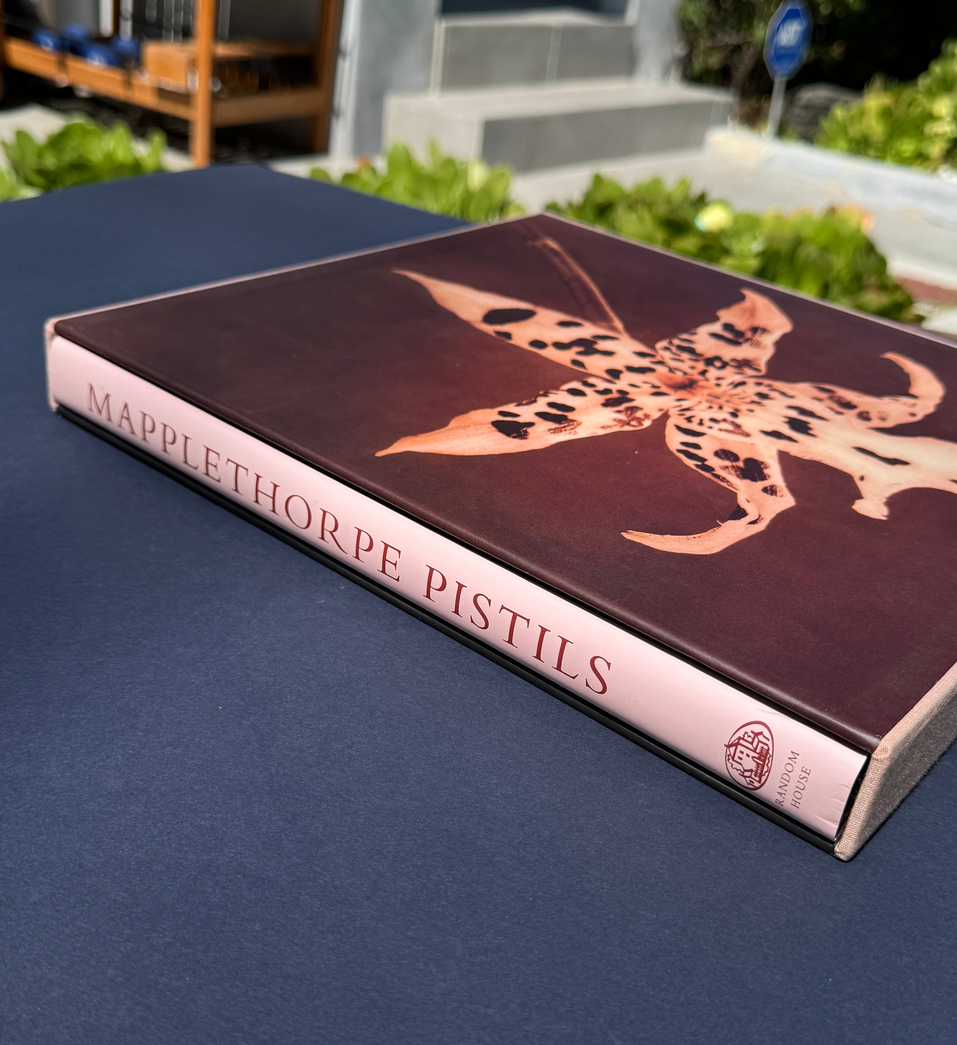 Robert Mapplethorpe - Pistils – Parallel Editions