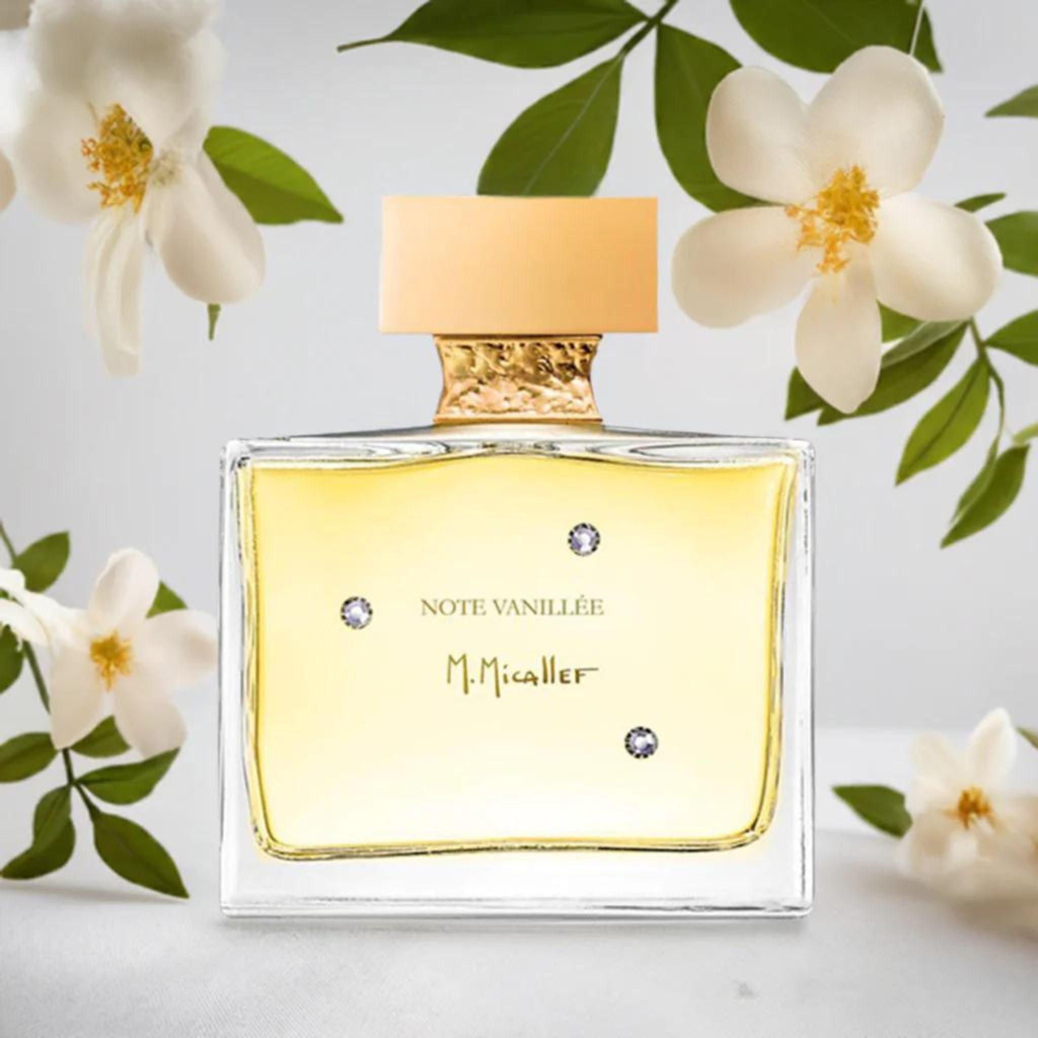 Note Vanillee | M.Micallef | parfumexquis