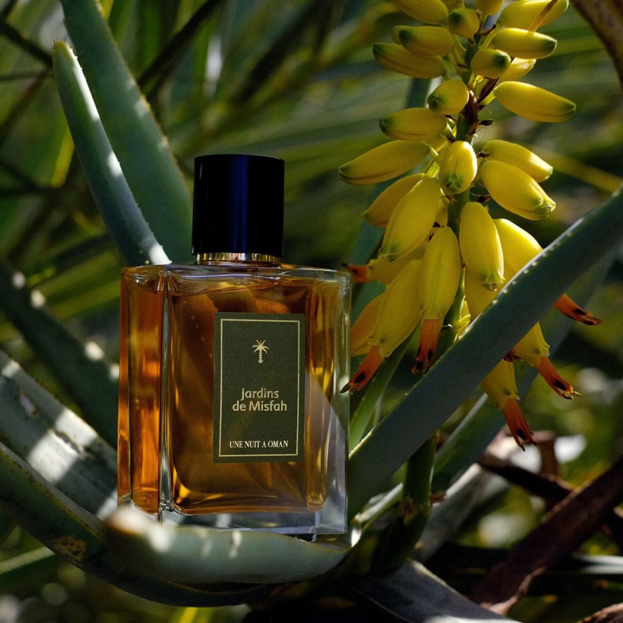 Jardins De Misfah | Une Nuit de Nomade · Parfum Exquis US