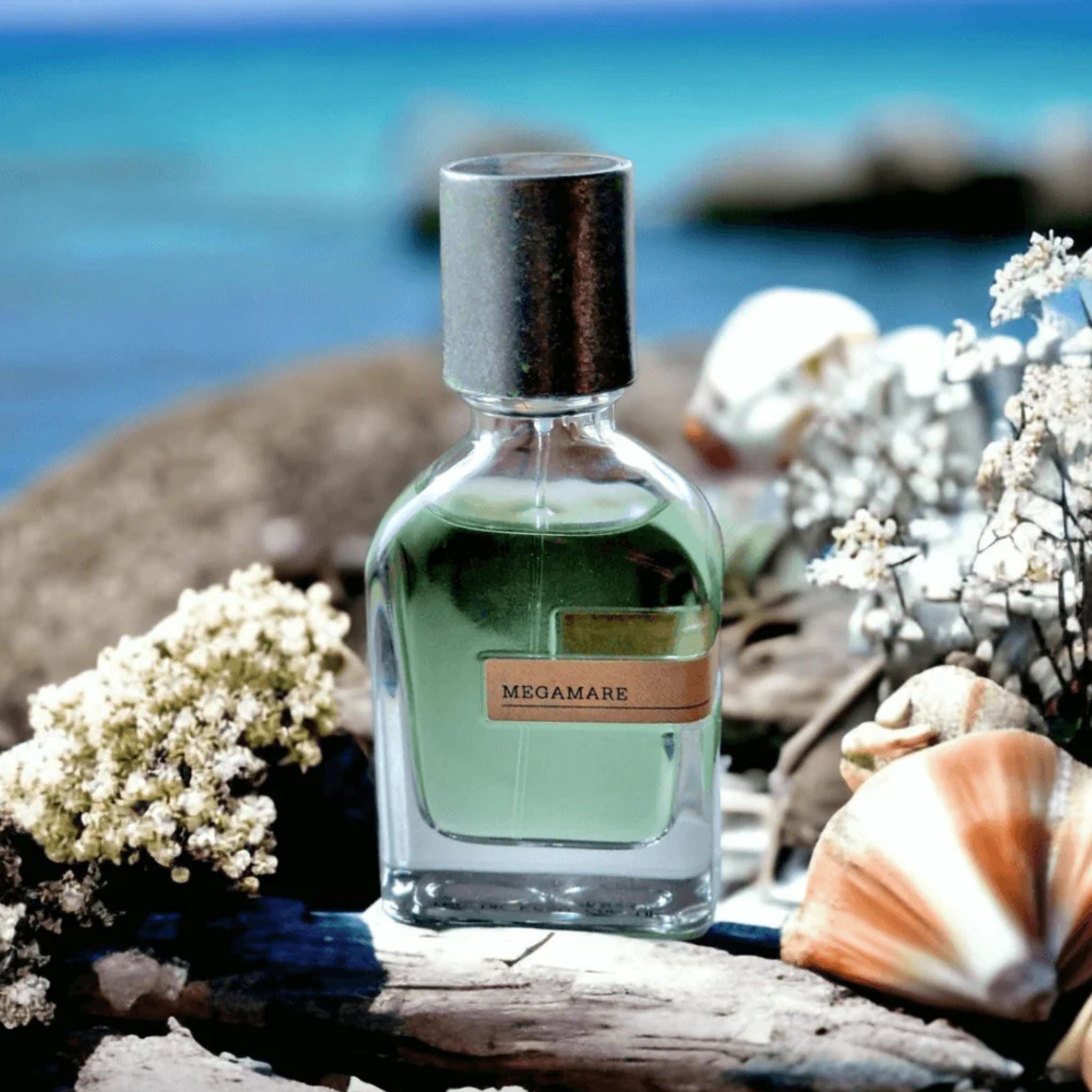 Orto Parisi Megamare: Dive into Oceanic Elegance · Parfum Exquis US