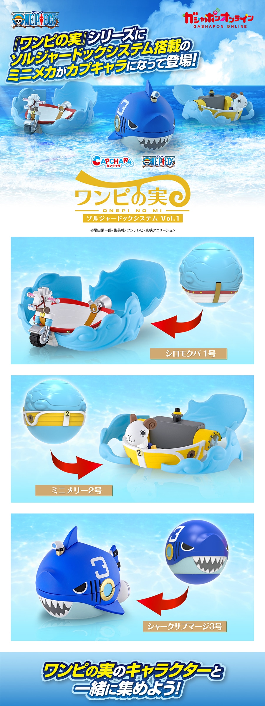 カプキャラ From TV animation ONE PIECE ワンピの実 ソルジャードック