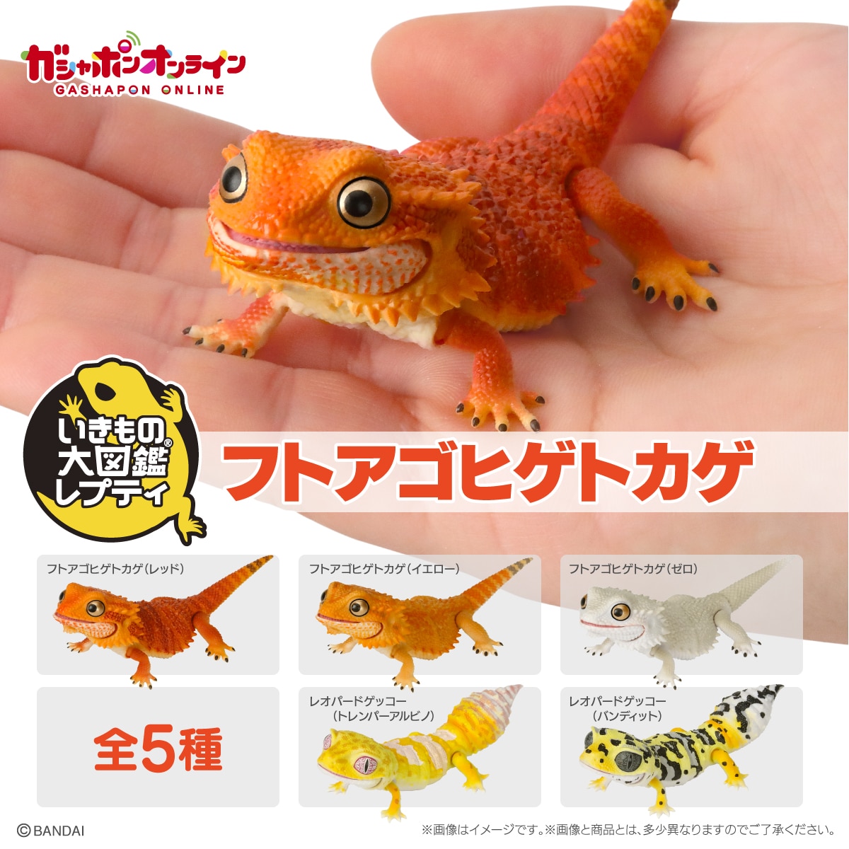 いきもの大図鑑レプティ フトアゴヒゲトカゲ | ナムコパークス