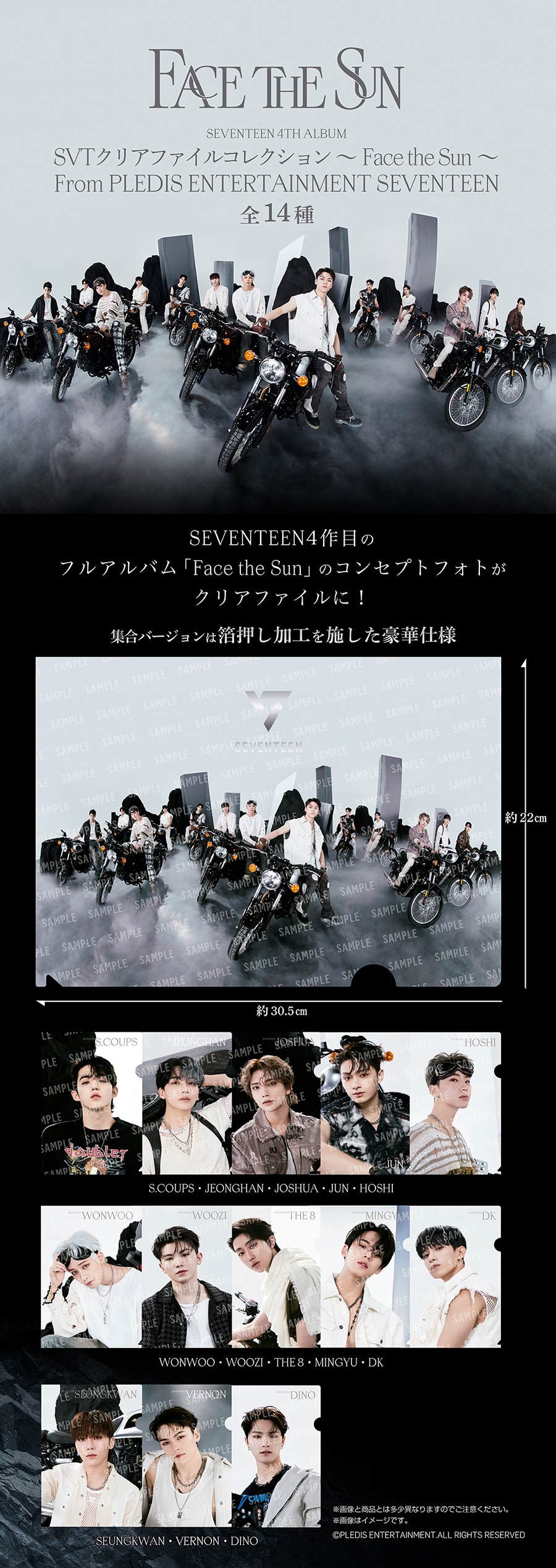 SVT クリアファイルコレクション ～Face the Sun～ From PLEDIS