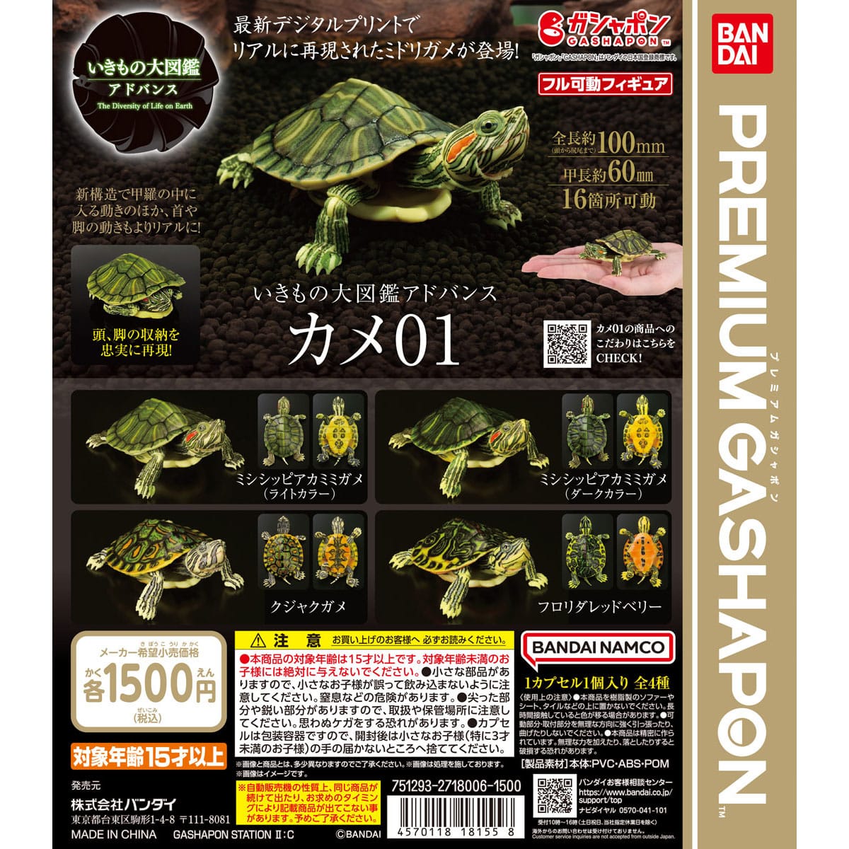 いきもの大図鑑アドバンス カメ01 | ナムコパークス オンラインストア