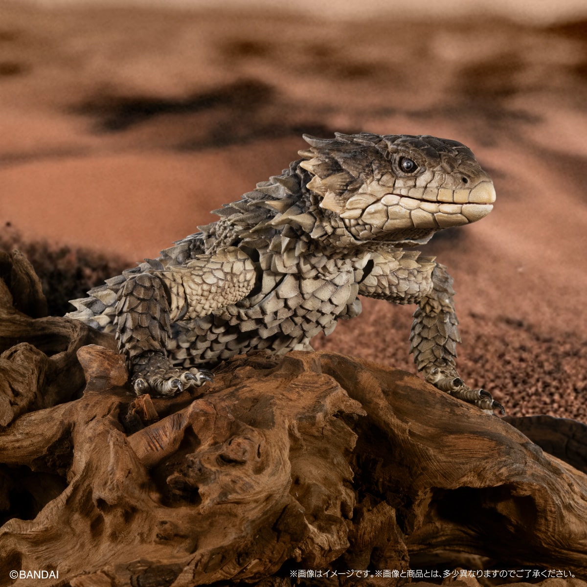 いきもの大図鑑アルティメット オオヨロイトカゲ | ナムコパークス