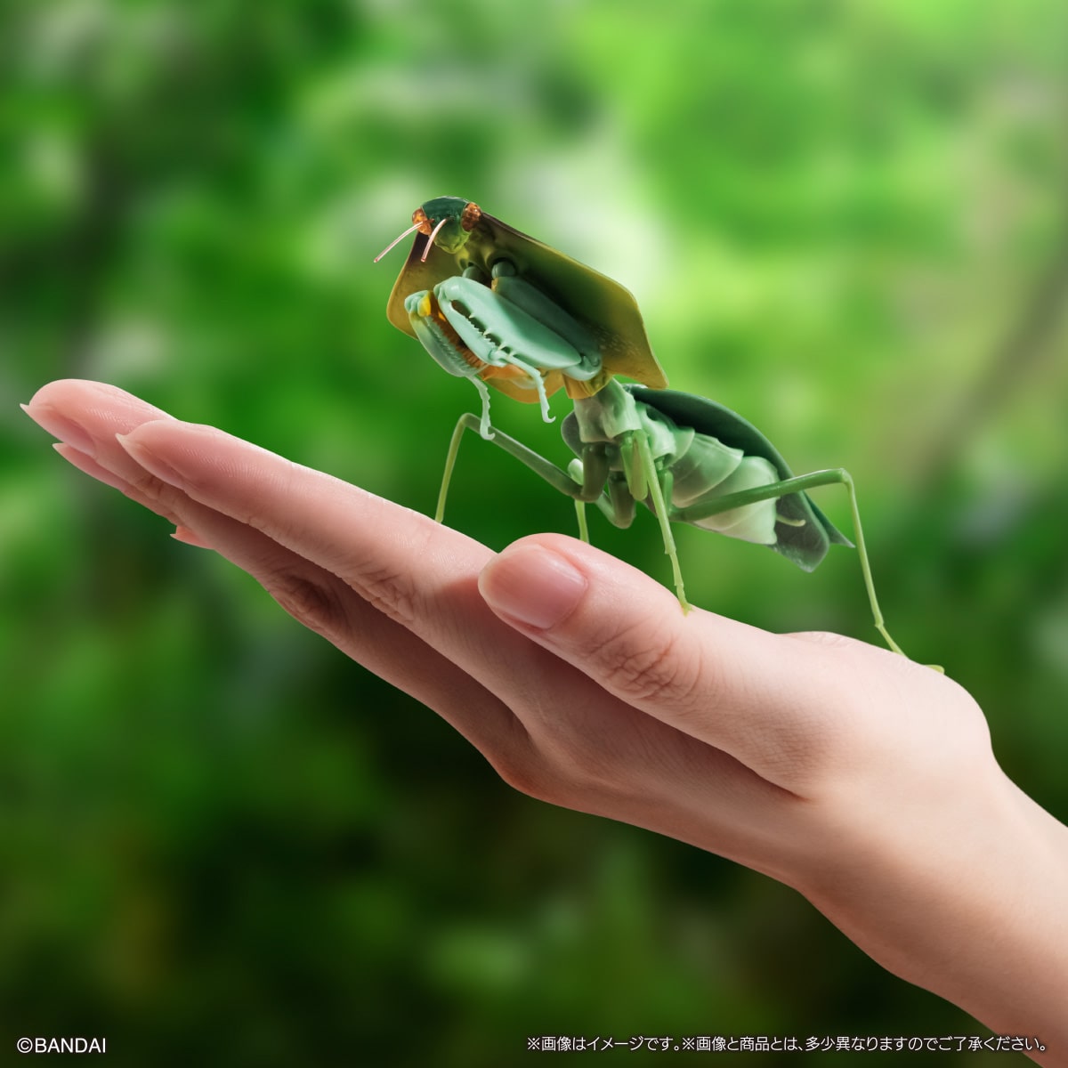 いきもの大図鑑 かまきり04【2023年11月発送】 | ナムコパークス