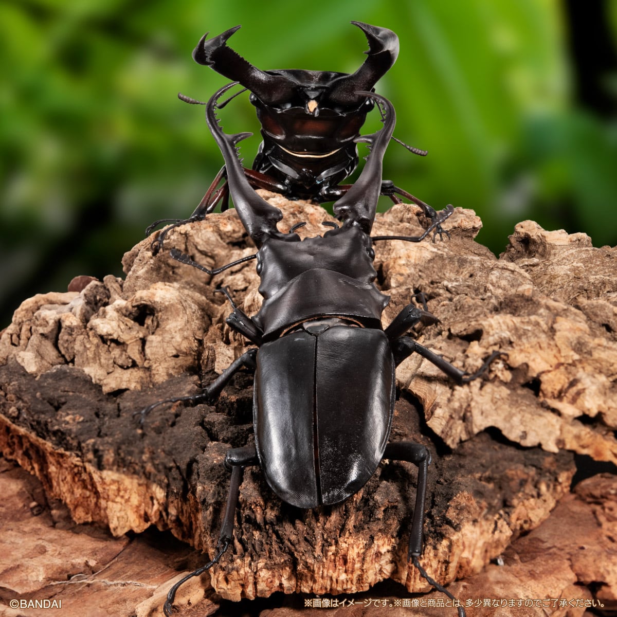 いきもの大図鑑アドバンス ギラファノコギリクワガタと