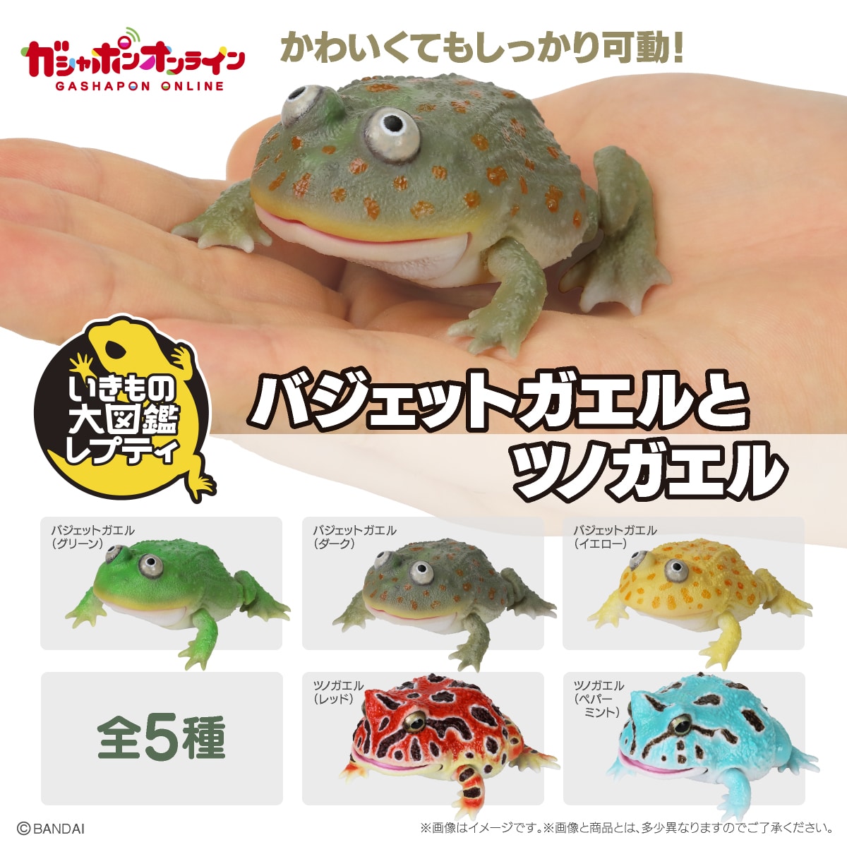いきもの大図鑑レプティ バジェットガエルとツノガエル | ナムコ