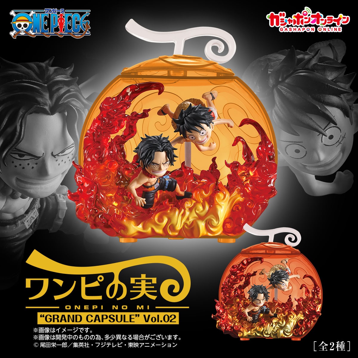 From TV animation ONE PIECE ワンピの実 “GRAND CAPSULE” Vol.02