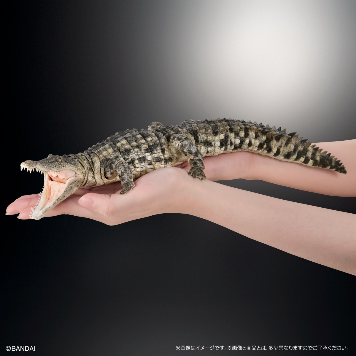 いきもの大図鑑アルティメット ナイルワニ（ライトカラー） | ナムコ