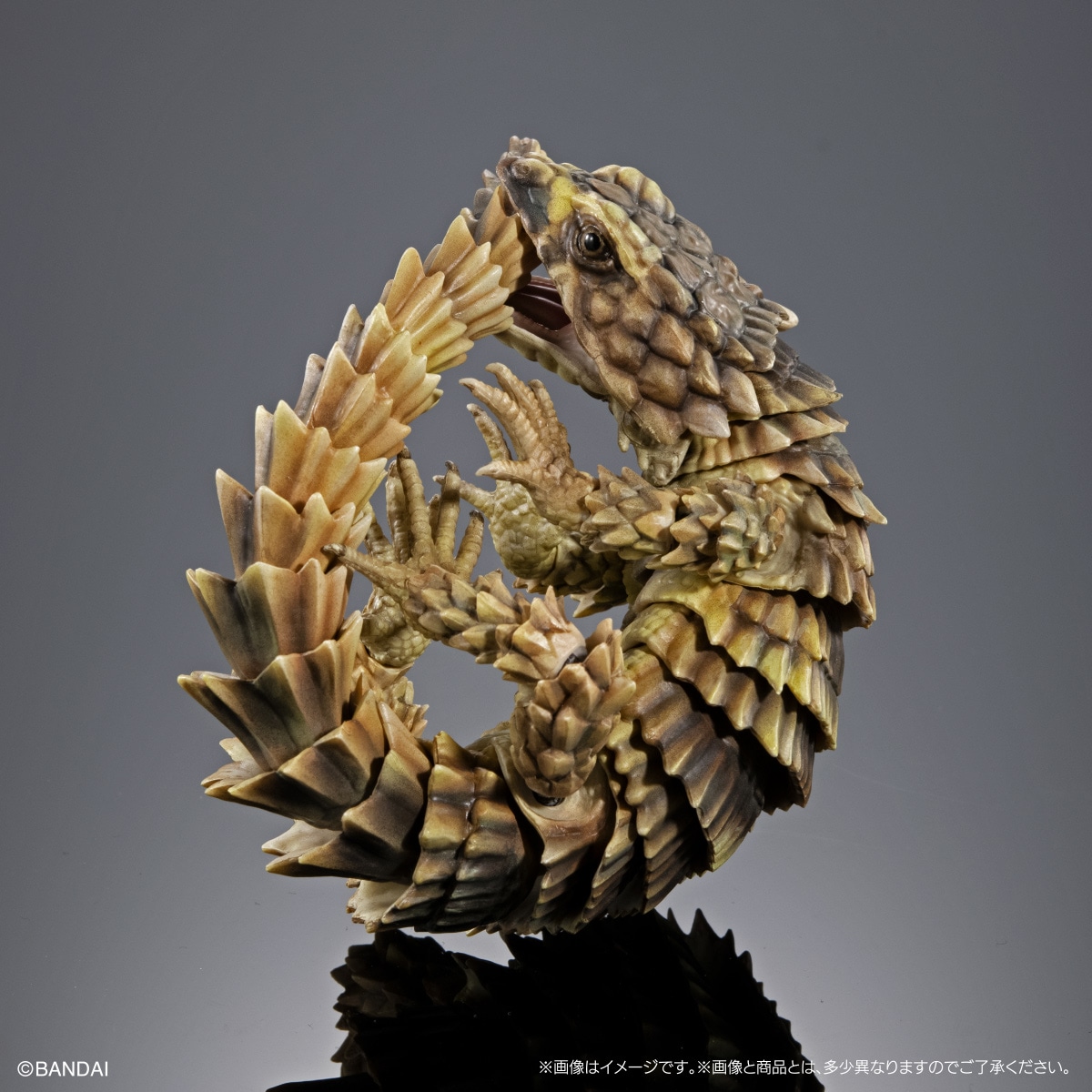 いきもの大図鑑アドバンス SELECTED EDITION 02 | ナムコパークス