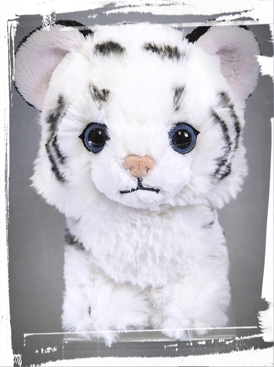 ふさふさになって再登場😋 TOBUオリジナル ホワイトタイガー パプス
