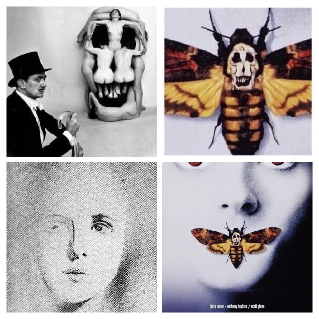 寒いですなあ 羊たちの沈黙のポスターの蛾メンガタスズメの髑髏文様