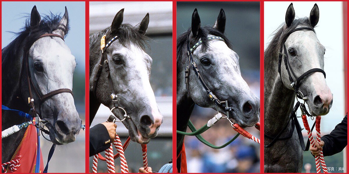 超高難度クイズ。芦毛の名馬たちの名前、顔だけでわかる？ ヒントは
