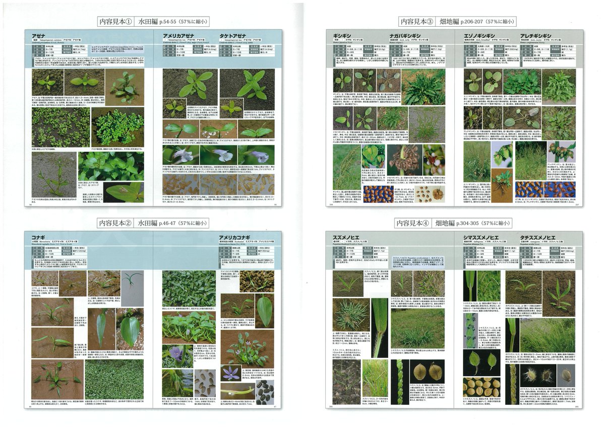 植調雑草大鑑」雑草の一生を写真で明らかに。見出し約500種は、芽生え