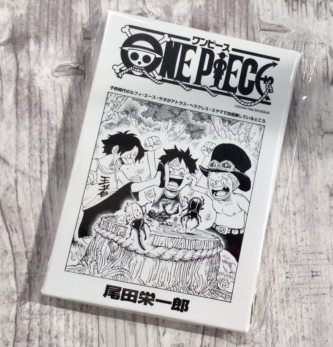 ☆ワンピース 扉絵ブロマイド 923 ☆ワンピース ONE PIECE 1000LOGS