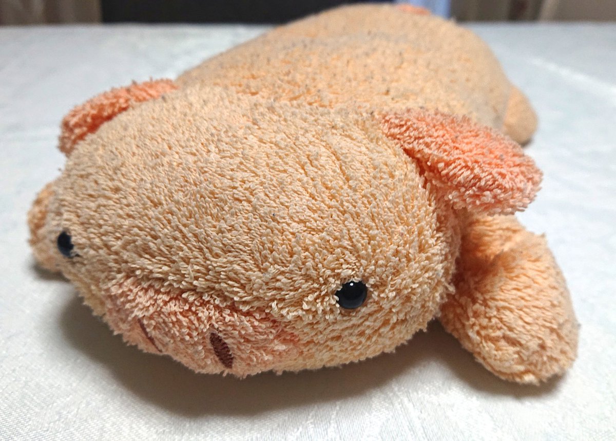 14年くらい大事にしてるぶたのぬいぐるみ。フリッカのよつんばい