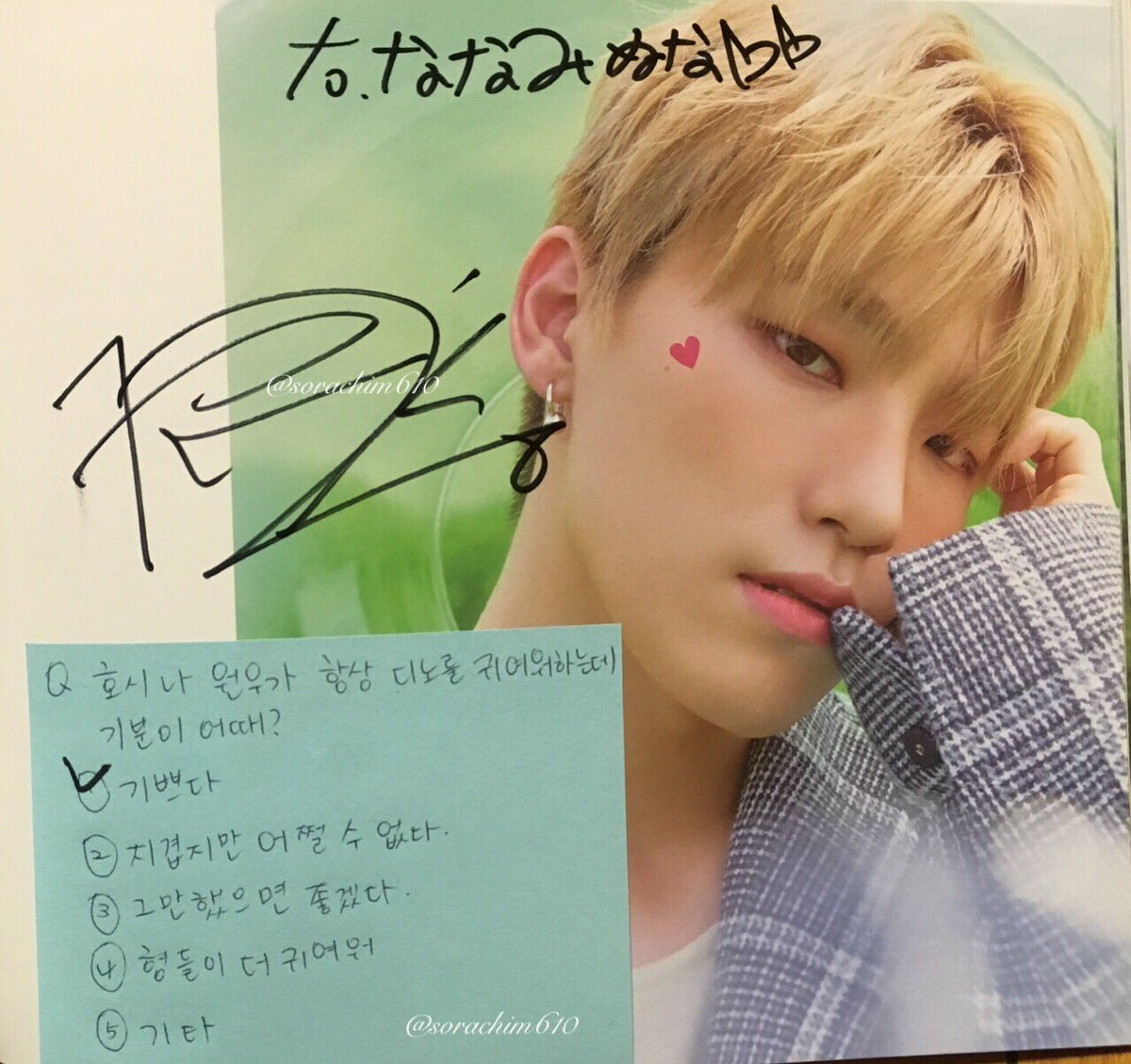 seventeen SEVENTEEN セブチ ディノ 直筆 サイン インスタントフォト