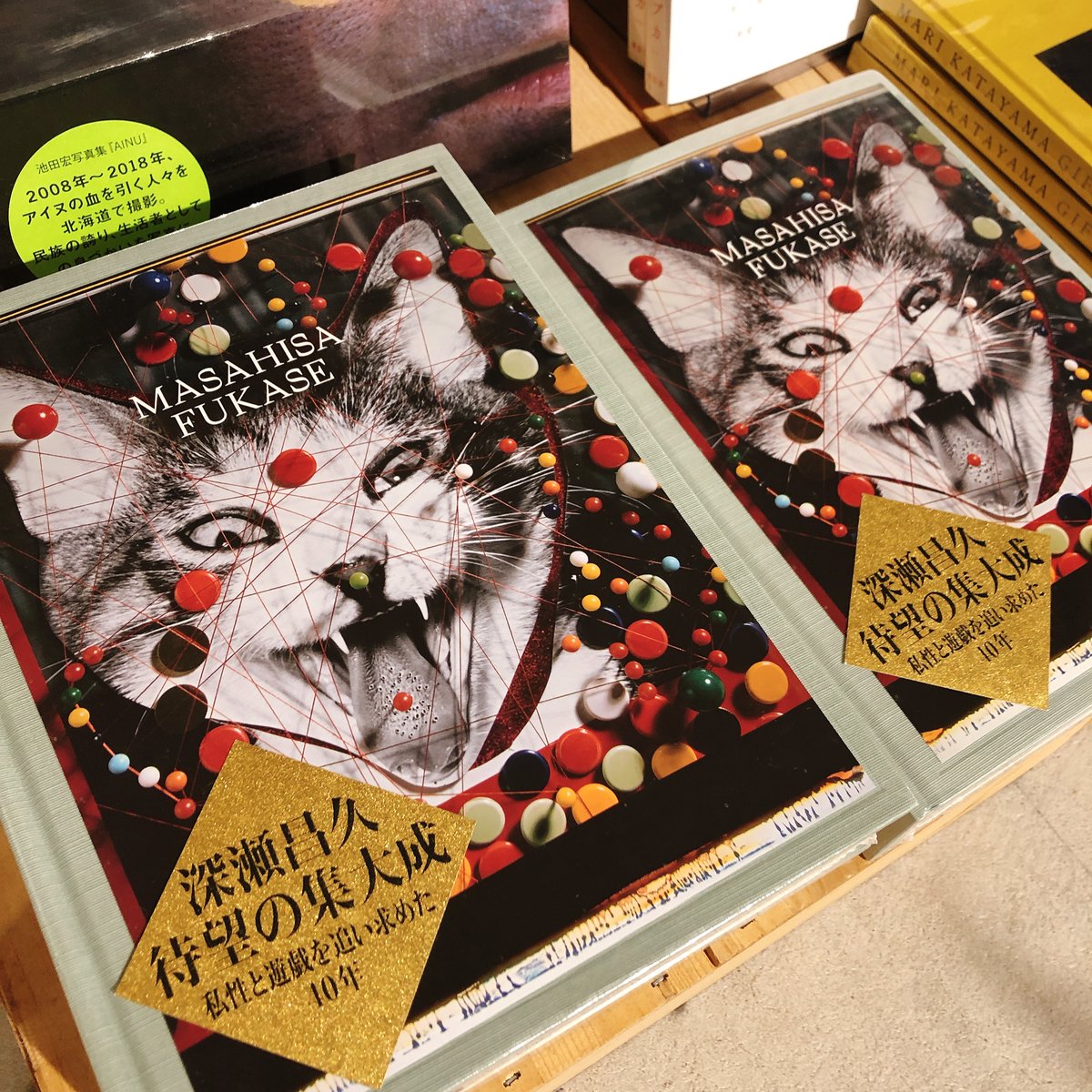 瀬戸正人『深瀬昌久伝』日本カメラ社 深瀬昌久伝 | 瀬戸 正人 |本