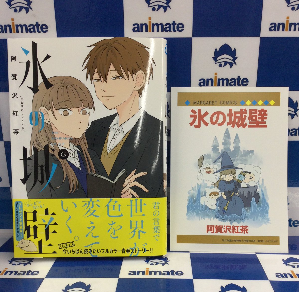 氷の城壁 6巻』 アニメイト特典：メッセージペーパー 『正反対な君と僕
