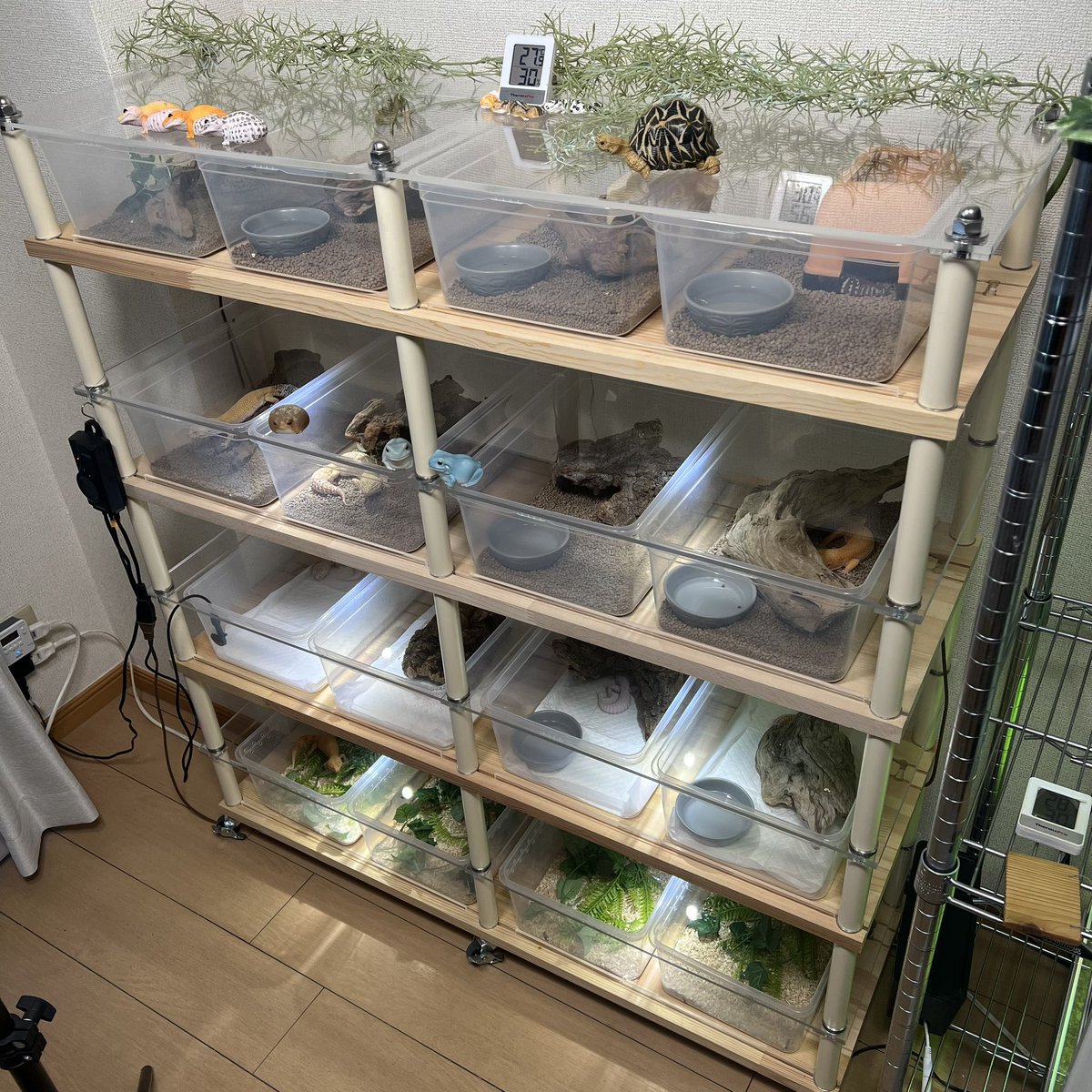 レオパ、ニシアフのブリーダーラック作ってみました✨ 一般的な