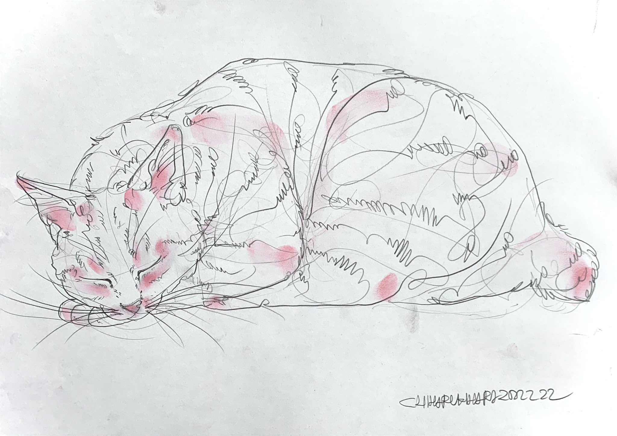 メルカリ出品数1万超！5分間ドローイングの入手は争奪戦！！【木原千春