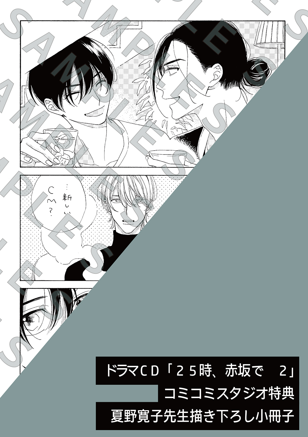 25時、赤坂で2 夏野寛子 リーフレット 小冊子付き 夏野寛子 25時、赤坂で