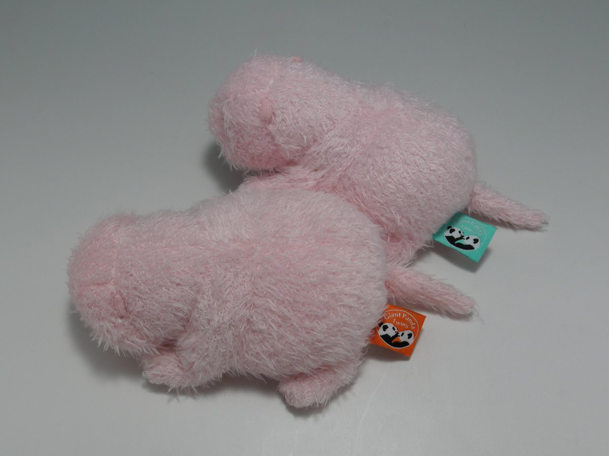 ZooShopより🚚】 ほんとの大きさパンダの仔 蕾蕾 146g/暁暁 124g