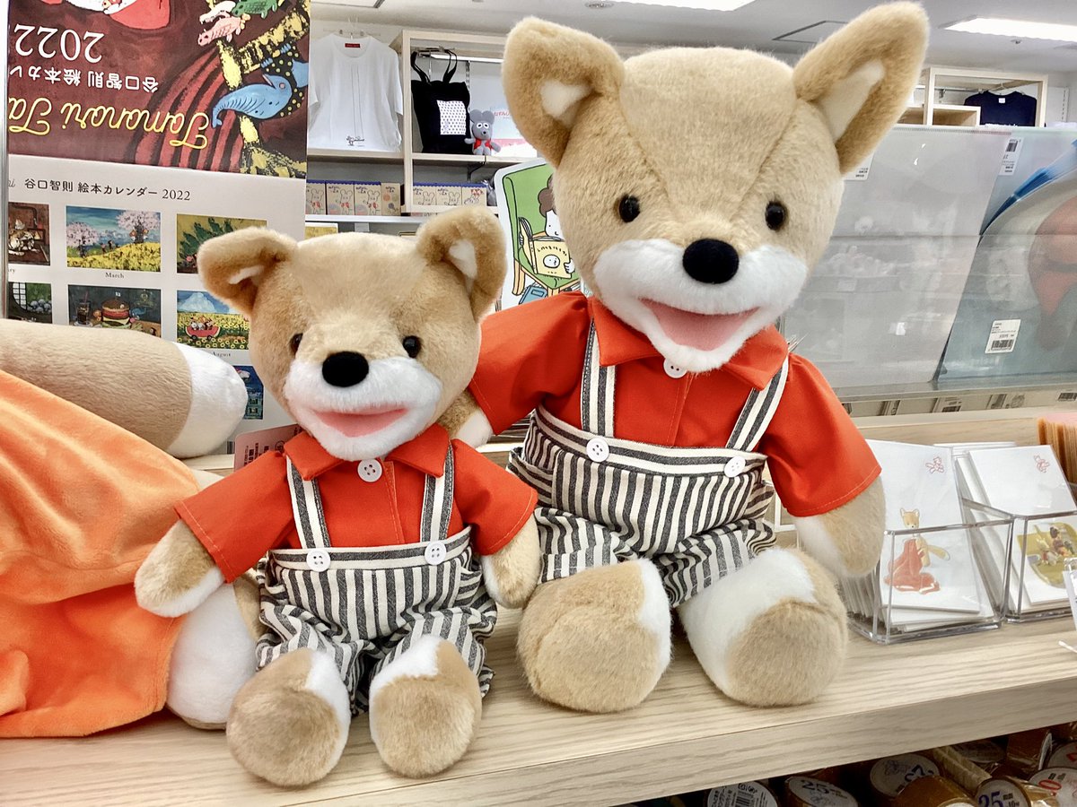 こんのぬいぐるみ、M入荷しました！ 大人が抱いても、しっかり抱きしめ