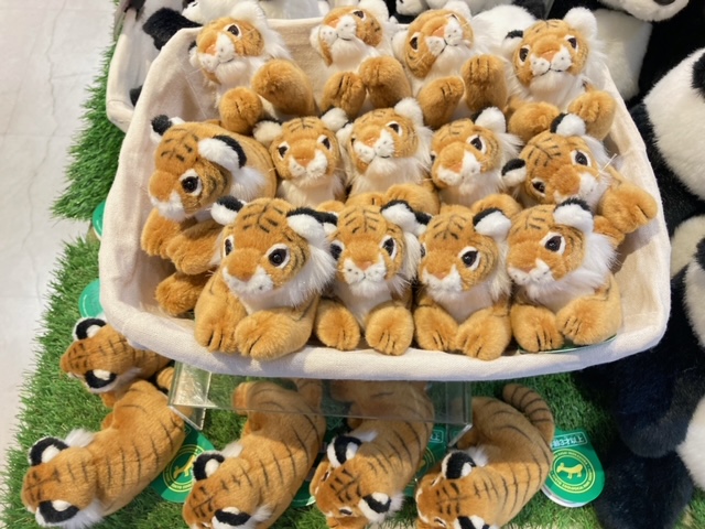 トラのぬいぐるみ🐯 ＼ ＃都立動物園 ＃水族園 毎年恒例の干支