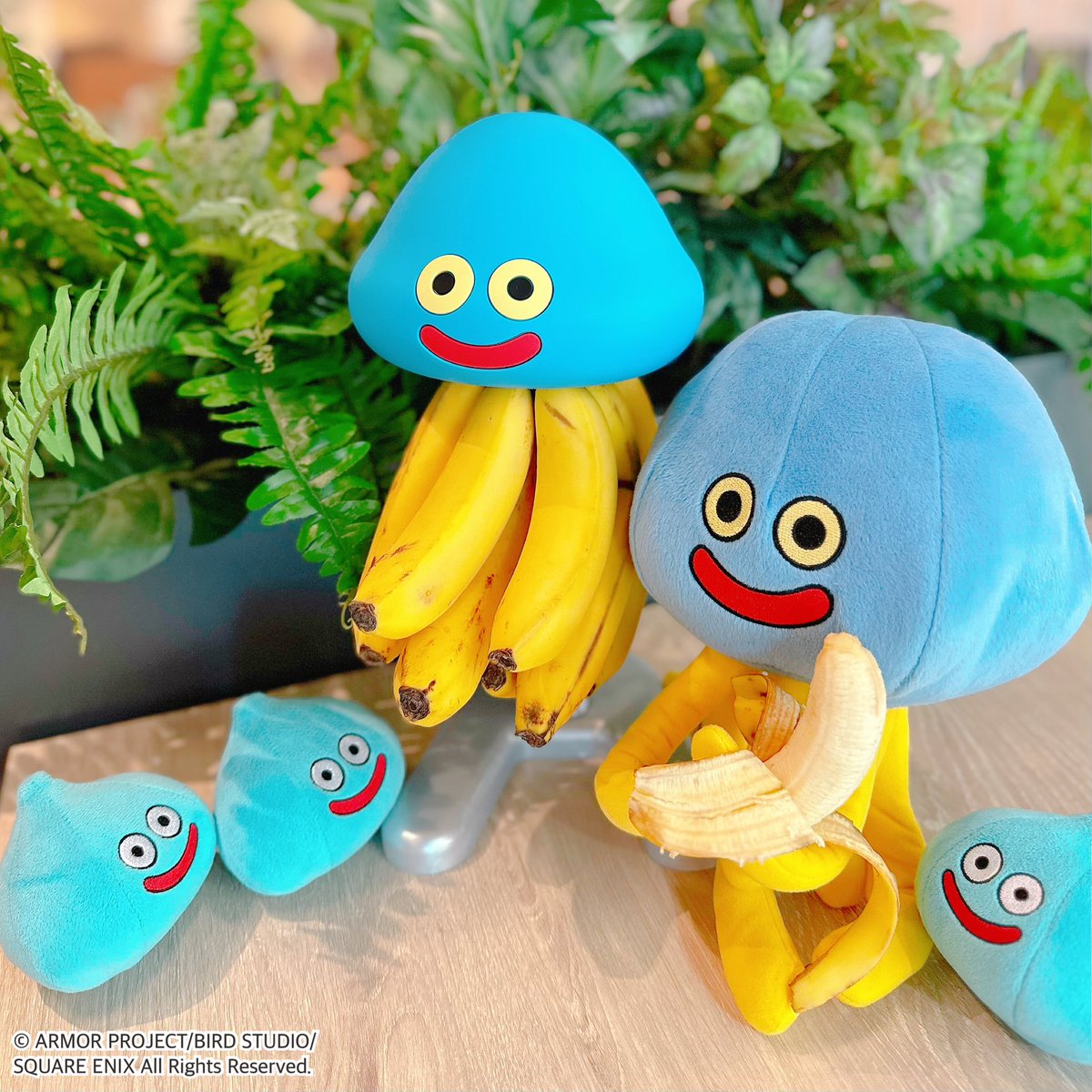 明日11/26(土)より発売！ ドラゴンクエスト新作くじ✨ パーティー